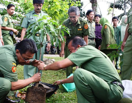 Lahan Pertanian di Jakarta Terus Menyusut Berganti Pemukiman